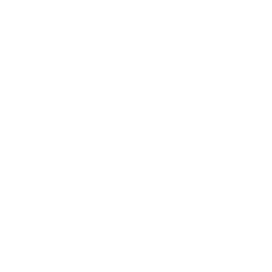 Instituto de Física y Astronomía